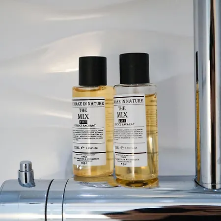 B40 With Parlament View Lejlighed *